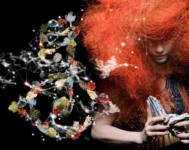 Björk quiere que pirateen las apps para 'Biophilia'