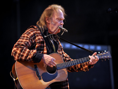 Neil Young cancela sus conciertos por culpa de un accidente