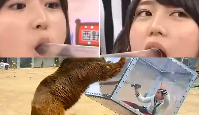 Concursos japoneses: Colegialas arrojadas a osos y cucarachas en la boca
