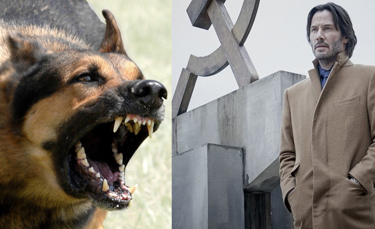Keanu Reeves mata rusos y es atacado por perros en el trailer de Siberia
