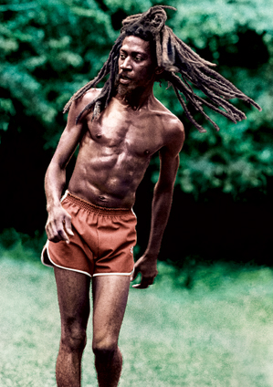 Bunny wailer