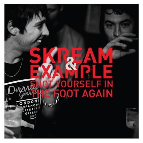 Skream & example