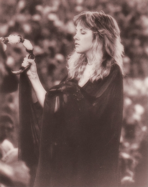 Stevie nicks