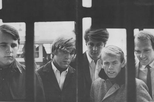 The beach boys