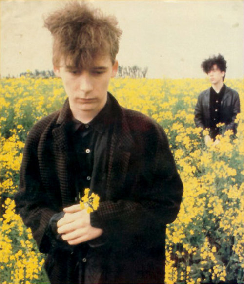 The jesus and mary chain
