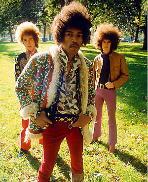 The jimi hendrix experience
