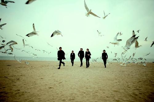 The morning after girls