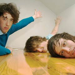 The wombats