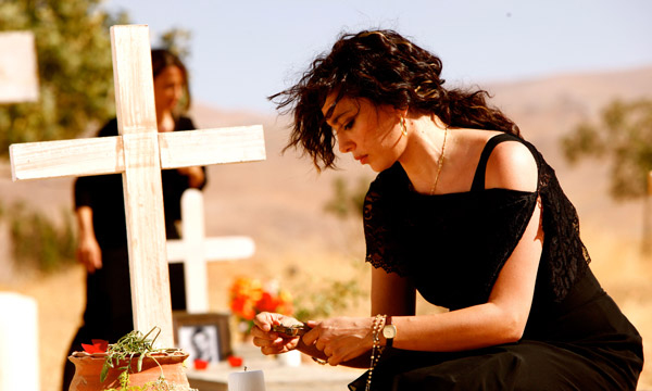 ¿y ahora adónde vamos?