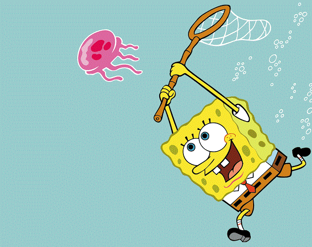 Bautizan una nueva especie de seta con el nombre de Bob Esponja