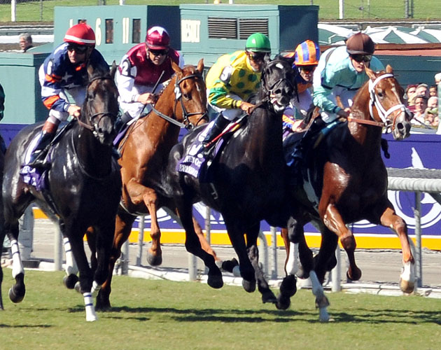 Trailer y cotilleos de "Luck", lo nuevo de HBO