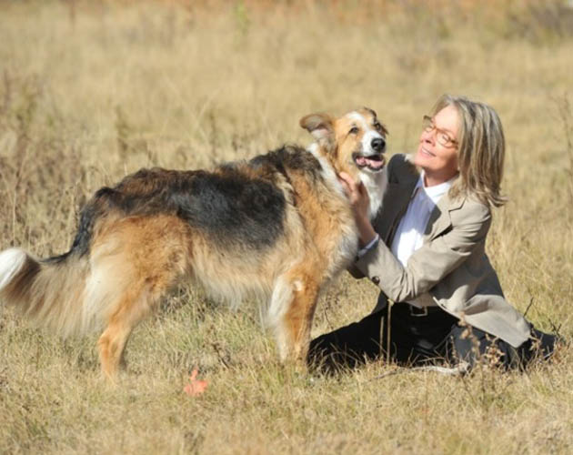 Lawrence Kasdan vuelve a la dirección y llega el trailer de 'Darling Companion'