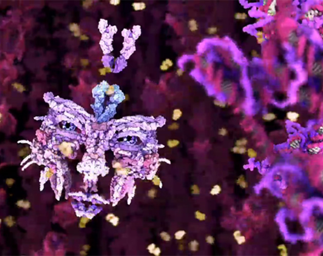 Björk explora su propio ADN en el vídeo para 'Hollow'