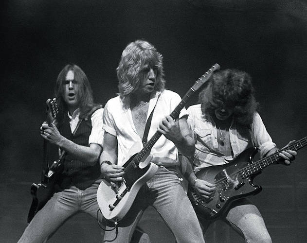 Nuevas confirmaciones y distribución por días del Azkena Rock Festival