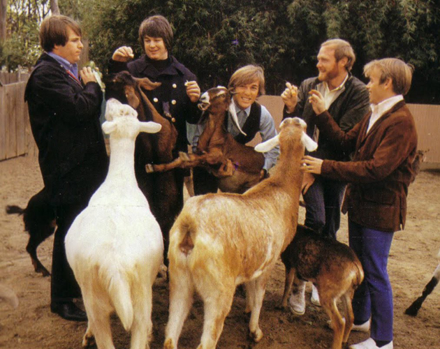 Los Flaming Lips hacen un cover de los Beach Boys: 'God only knows'