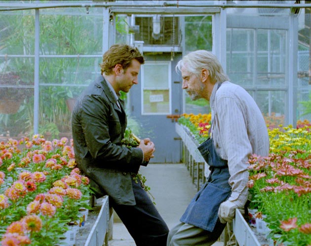 Nuevo póster de 'The Words' con Bradley Cooper y Zoe Saldana