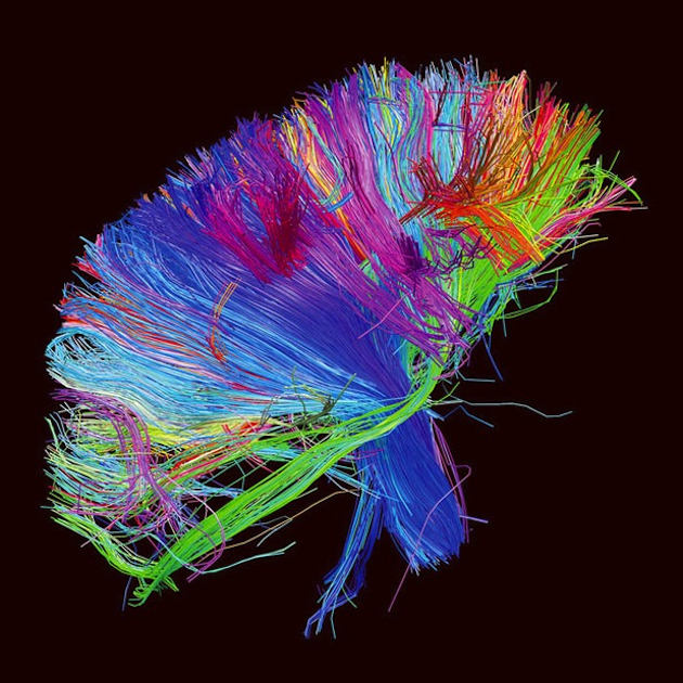 Escucha 'Madness', nuevo single de Muse