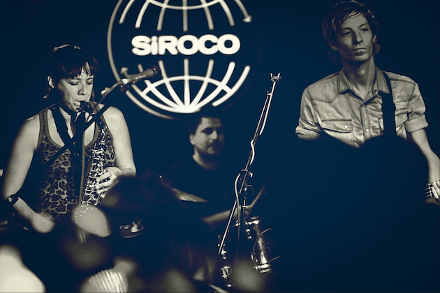 Gatopersa. Foto: Jorge Montoro.