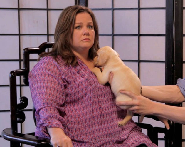 Melissa McCarthy también podría aparecer en 'Resacón 3'