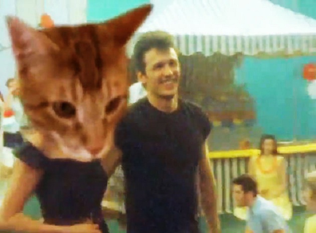james franco gatos rem
