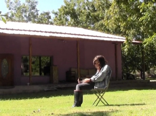 beach house nuevo video gatos new year