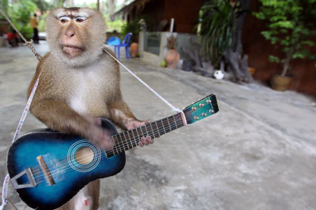 ¿Qué música escucha la gente tonta y la gente lista?