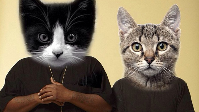 'Meow The Jewels', el remix de Run The Jewels con gatos