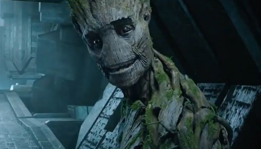 Mujer tiene sexo con árbol y pretende casarse con él