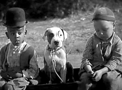 17 perros actores que fueron inolvidables 17 perros actores que fueron inolvidables