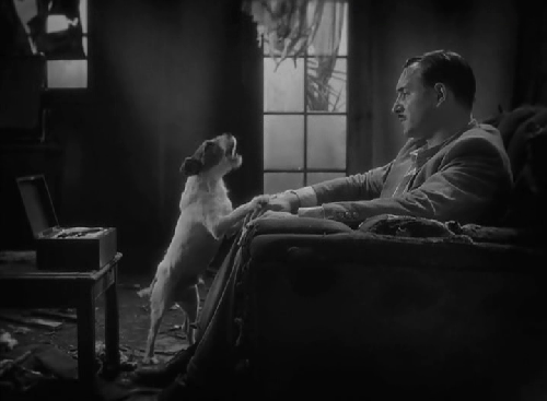 17 perros actores que fueron inolvidables 17 perros actores que fueron inolvidables