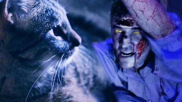 Gatos contra Zombies: Gore felino