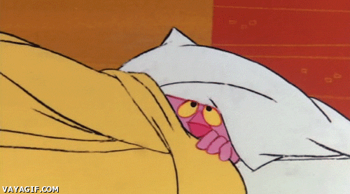 pantera rosa mosquito