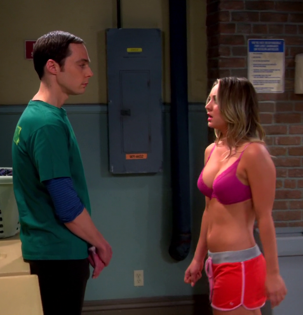 La escena de sexo en The Big Bang Theory que estÃ¡bamos esperando.