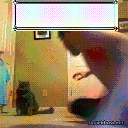 Pokemon Go! interrumpe comunicado anti-terrorista del gobierno estadounidense