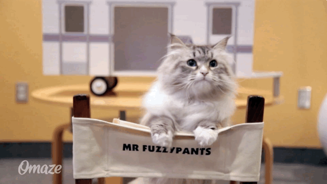 Todo lo peor del cine del año en las 25 peores películas de 2016