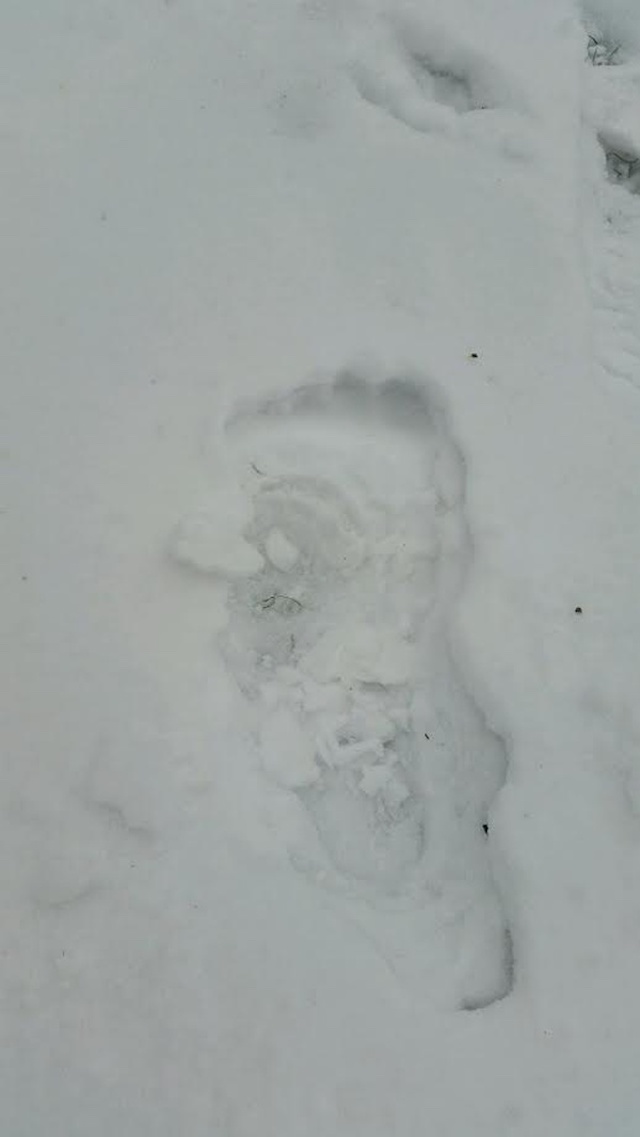 ¿Ha encontrado este hombre a Bigfoot tras seguirlo siete millas?