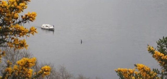 Testigos graban al monstruo del lago Ness