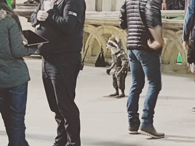 Primera imagen de Rocket en Vengadores: Infinity War