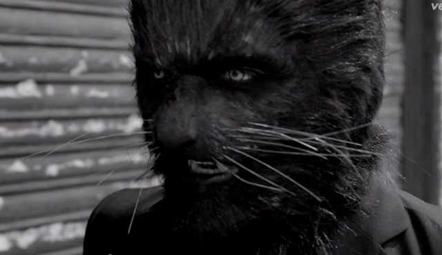 Misterioso animal relacionado con desapariciones en Nueva York