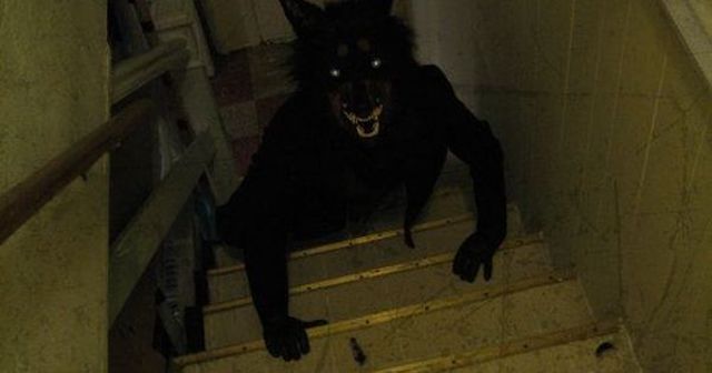 Criatura misteriosa descubierta en vídeo: ¡¡¡El Hombre Perro!!!