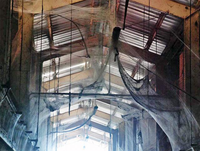 107 millones de arañas en un tratamiento de aguas en Baltimore