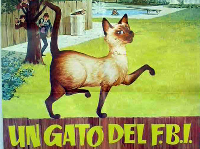 Operación Acoustic Kitty, el programa secreto de gatos espía de la CIA