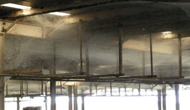 107 millones de arañas en un tratamiento de aguas en Baltimore