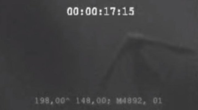 Impactantes imágenes de los Ningen: las criaturas humanoides del Ártico