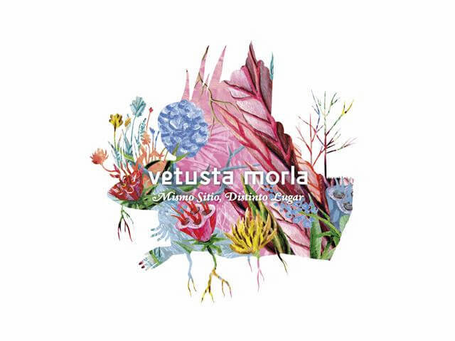 El esperado regreso de Vetusta Morla