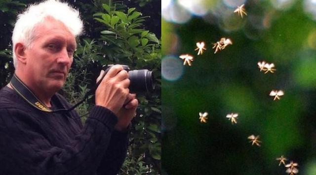 Un profesor universitario fotografía hadas reales