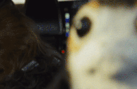 10 razones por las que Los Últimos Jedi es la mejor de la saga