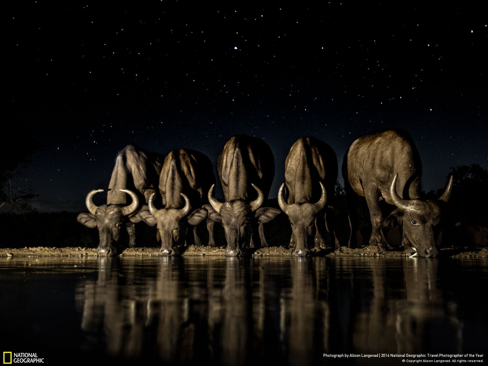 10 franquicias adquiridas oficialmente por Disney tras la compra de Fox