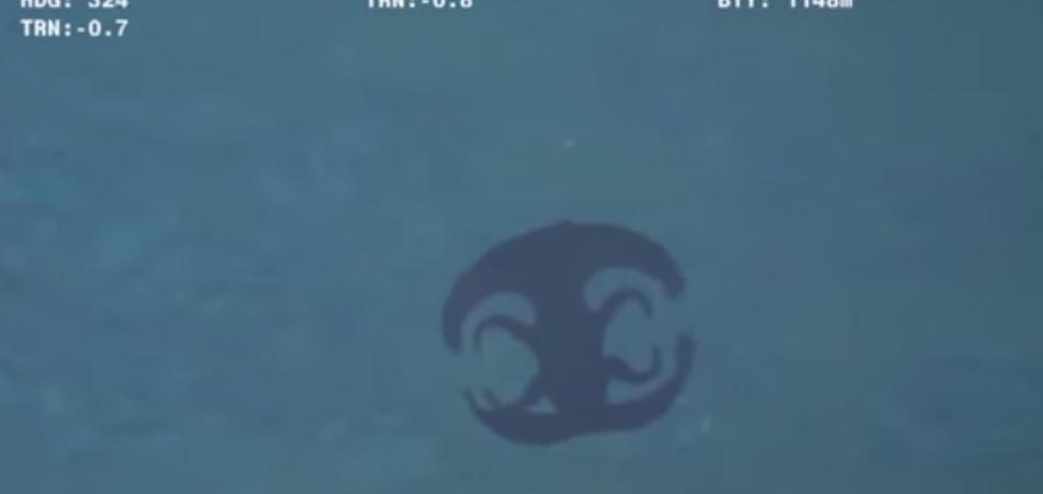 Científicos confirman: el pulpo es una especie alienígena