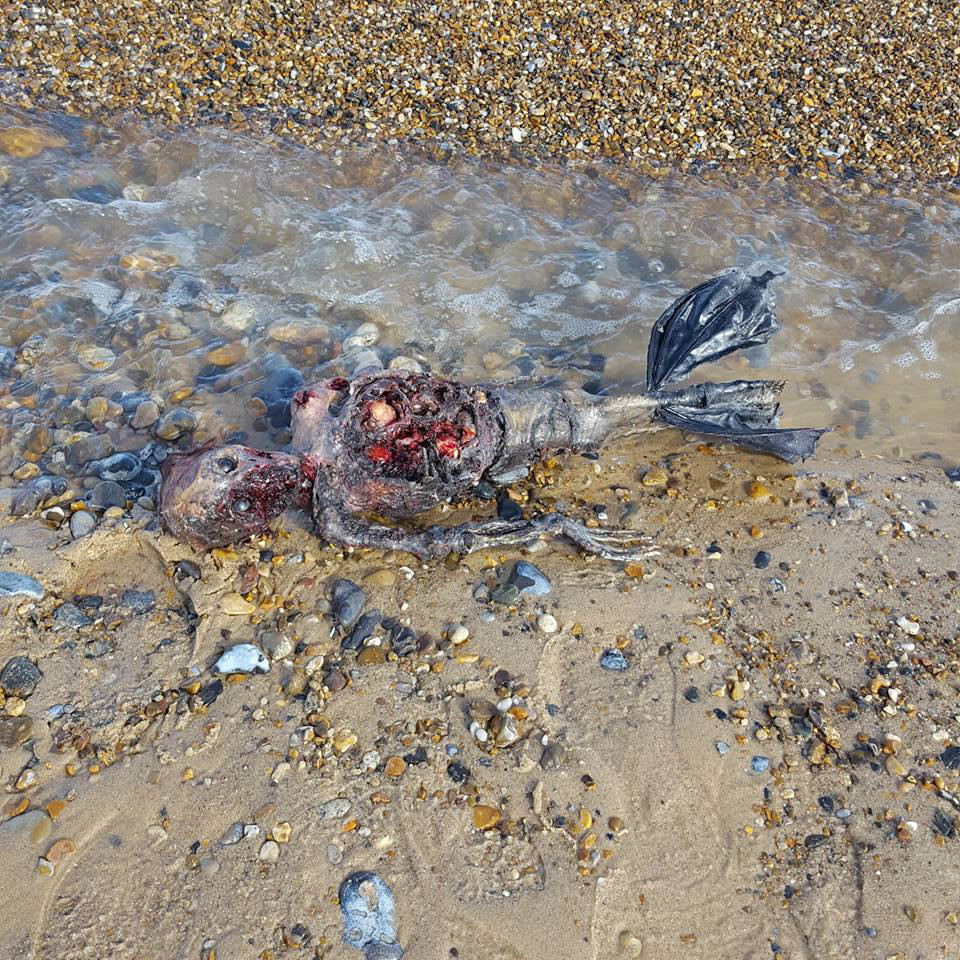 Repugnante aparición de una sirena muerta en una playa